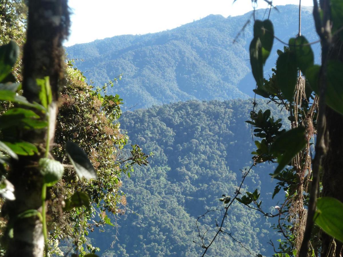 Patricia And Ned'S Cloud Forest Farm Cotacachi Dış mekan fotoğraf