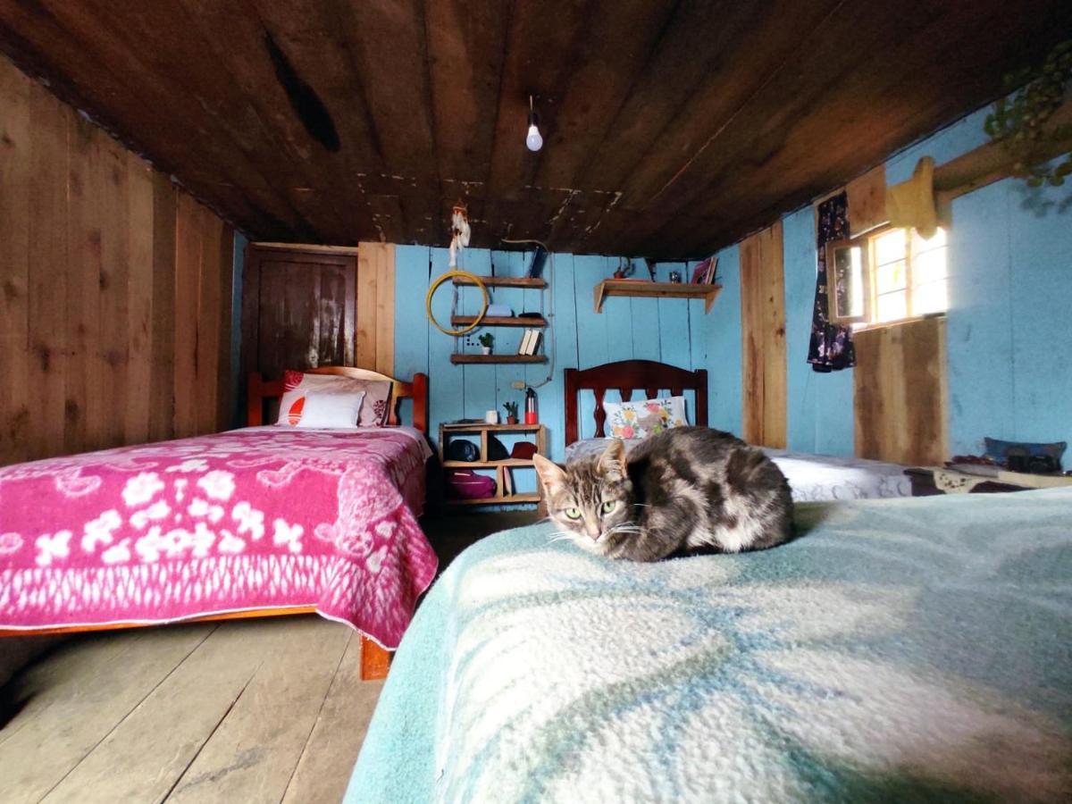 Patricia And Ned'S Cloud Forest Farm Cotacachi Dış mekan fotoğraf